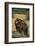 Roaring Grizzly Bear-DLILLC-Framed Photographic Print