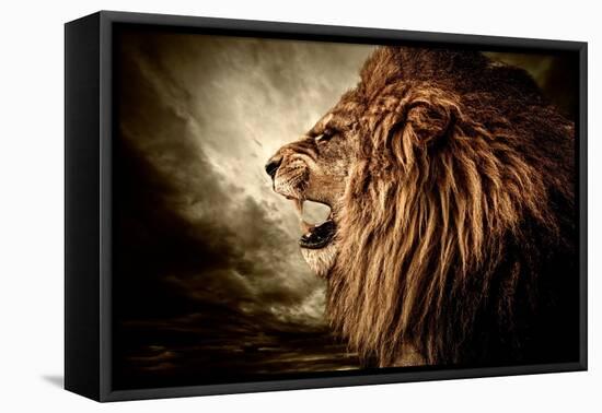 Roaring Lion Against Stormy Sky-NejroN Photo-Framed Premier Image Canvas