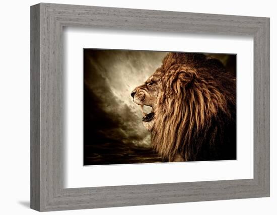 Roaring Lion Against Stormy Sky-NejroN Photo-Framed Photographic Print