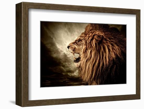 Roaring Lion Against Stormy Sky-NejroN Photo-Framed Photographic Print