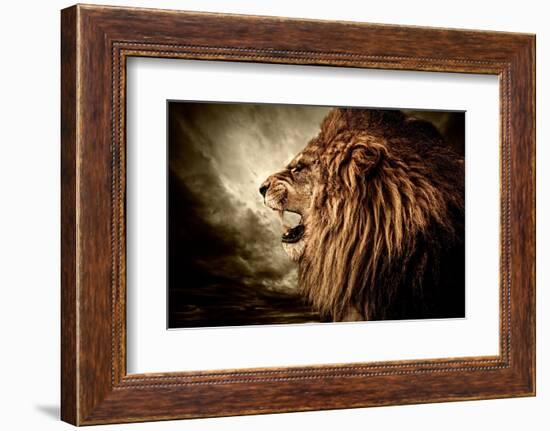 Roaring Lion Against Stormy Sky-NejroN Photo-Framed Photographic Print