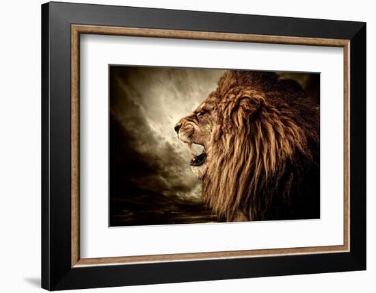 Roaring Lion Against Stormy Sky-NejroN Photo-Framed Photographic Print