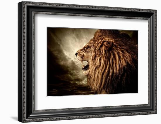 Roaring Lion Against Stormy Sky-NejroN Photo-Framed Photographic Print