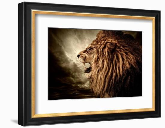 Roaring Lion Against Stormy Sky-NejroN Photo-Framed Photographic Print