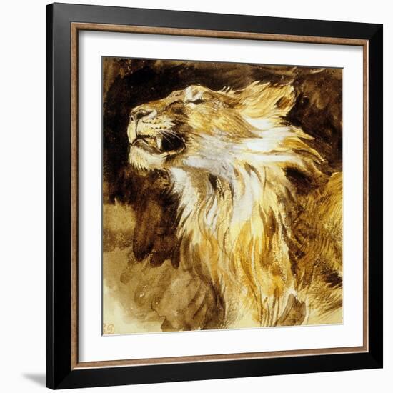 Roaring Lion, C.1833-35-Eugene Delacroix-Framed Photo