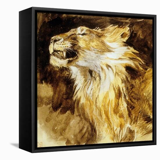 Roaring Lion, C.1833-35-Eugene Delacroix-Framed Stretched Canvas