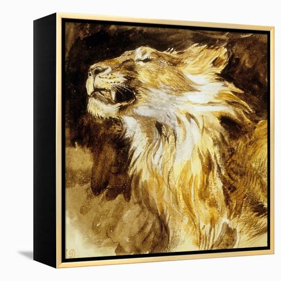 Roaring Lion, C.1833-35-Eugene Delacroix-Framed Stretched Canvas