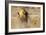 Roaring lion , Kgalagadi Transfrontier Park, Kalahari, Northern Cape, South Africa, Africa-Christian Kober-Framed Photographic Print