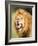 Roaring Lion, Masai Mara, Kenya, East Africa, Africa-Karen Deakin-Framed Photographic Print