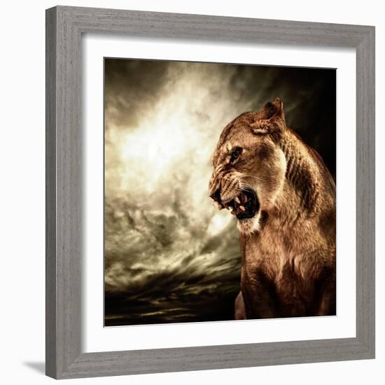 Roaring Lioness Against Stormy Sky-NejroN Photo-Framed Photographic Print