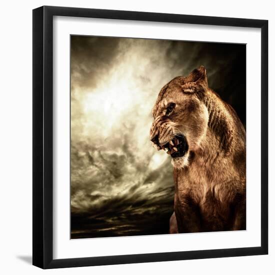 Roaring Lioness Against Stormy Sky-NejroN Photo-Framed Photographic Print