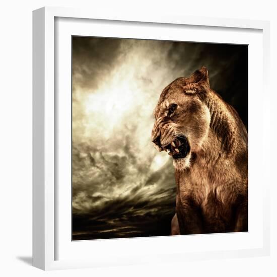 Roaring Lioness Against Stormy Sky-NejroN Photo-Framed Photographic Print