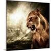 Roaring Lioness Against Stormy Sky-NejroN Photo-Mounted Photographic Print