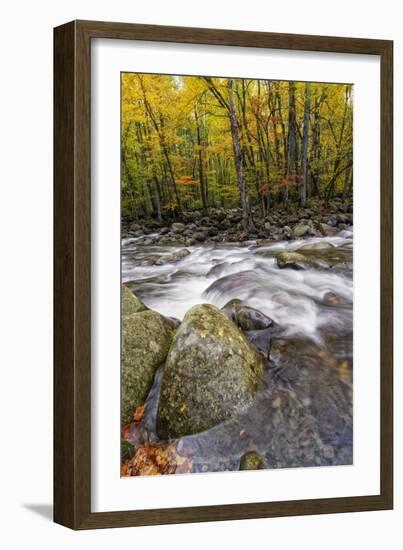 Roaring Waters I-Danny Head-Framed Photographic Print