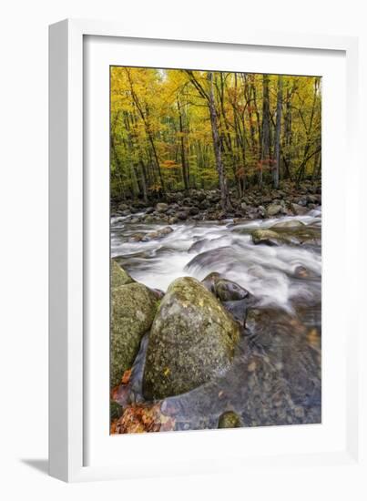 Roaring Waters I-Danny Head-Framed Photographic Print