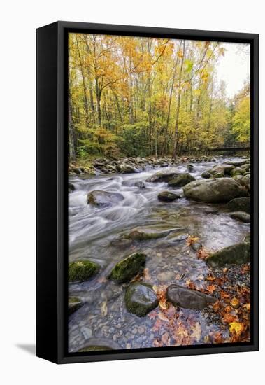 Roaring Waters III-Danny Head-Framed Premier Image Canvas