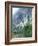 Roark Bluff, Buffalo National River, Arkansas, USA-Charles Gurche-Framed Photographic Print