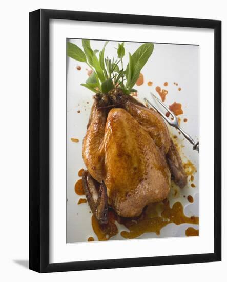 Roast Chicken with Fresh Herbs-null-Framed Photographic Print