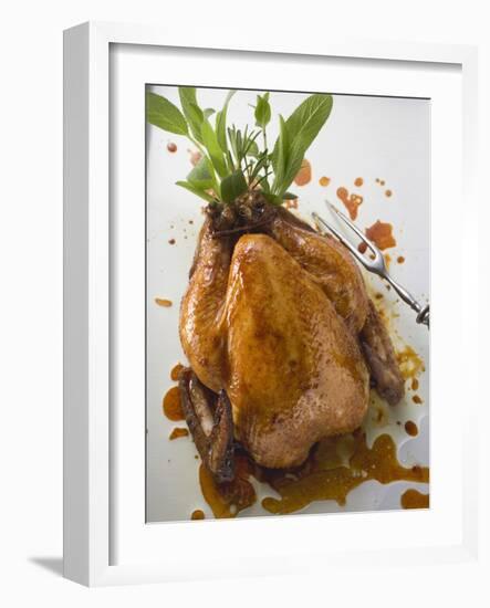 Roast Chicken with Fresh Herbs-null-Framed Photographic Print