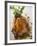 Roast Chicken with Fresh Herbs-null-Framed Photographic Print