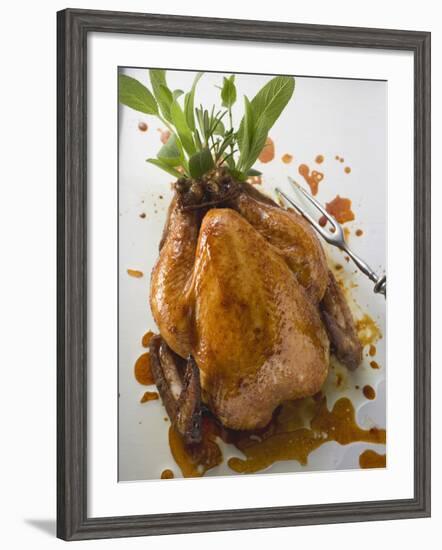 Roast Chicken with Fresh Herbs-null-Framed Photographic Print