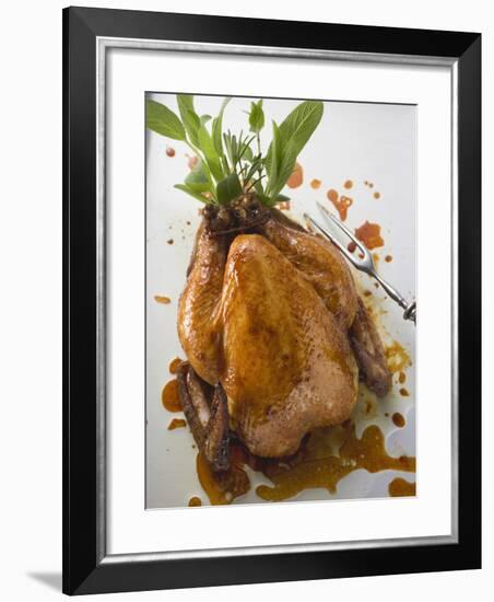 Roast Chicken with Fresh Herbs-null-Framed Photographic Print