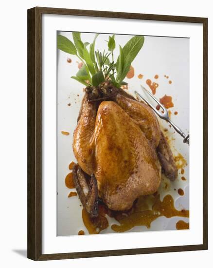 Roast Chicken with Fresh Herbs-null-Framed Photographic Print