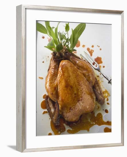 Roast Chicken with Fresh Herbs-null-Framed Photographic Print