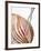 Roast Ham, Partly Carved, with Carving Fork-null-Framed Photographic Print