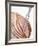 Roast Ham, Partly Carved, with Carving Fork-null-Framed Photographic Print