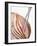 Roast Ham, Partly Carved, with Carving Fork-null-Framed Photographic Print