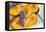 Roasted Apricots with Lavender, Detail-C. Nidhoff-Lang-Framed Premier Image Canvas