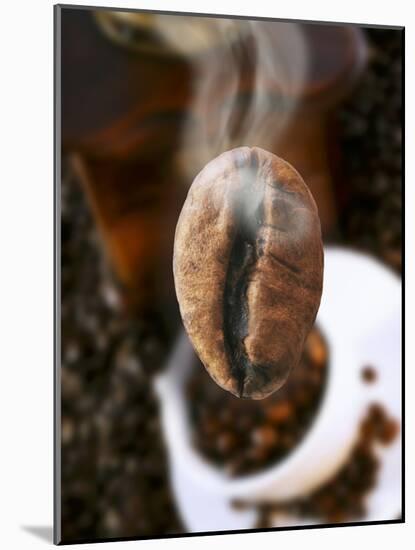 Roasted Coffee Bean (Steaming)-Dieter Heinemann-Mounted Photographic Print