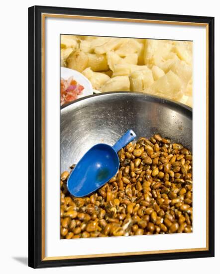 Roasted corn snack, Otavalo Market, Ecuador-Cindy Miller Hopkins-Framed Photographic Print