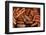 Roasted Hot Dogs and Sausages, Cuisine-Nico Tondini-Framed Photographic Print