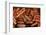 Roasted Hot Dogs and Sausages, Cuisine-Nico Tondini-Framed Photographic Print