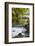 Roath Park, Cardiff, Wales, United Kingdom, Europe-Billy Stock-Framed Photographic Print