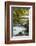 Roath Park, Cardiff, Wales, United Kingdom, Europe-Billy Stock-Framed Photographic Print