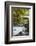 Roath Park, Cardiff, Wales, United Kingdom, Europe-Billy Stock-Framed Photographic Print