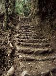 Steps on the Inca Trail, Peru, South America-Rob Cousins-Photographic Print