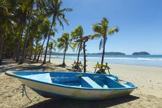 Driftwood on This Beautiful Surf Beach Near Mal Pais, Playa Santa Teresa, Costa Rica-Rob Francis-Photographic Print