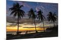 Photographic Print