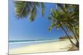 Premium Photographic Print