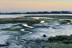 Mudflats at Langstone Harbour, Hampshire, UK-Rob Read-Framed Photographic Print