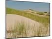 Premium Photographic Print