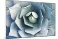 Premium Photographic Print