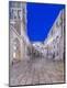 Photographic Print