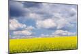 Photographic Print