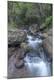 Premium Photographic Print