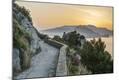 Premium Photographic Print